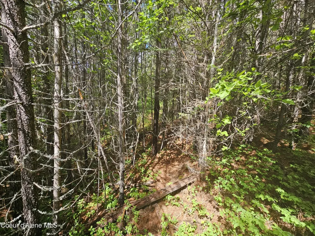 Nka Crystal Peak Road Fernwood ID 83830
