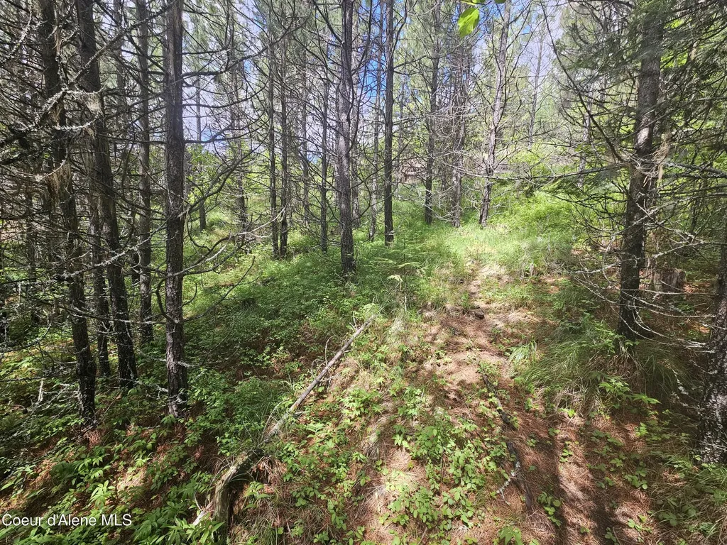 Nka Crystal Peak Road Fernwood ID 83830