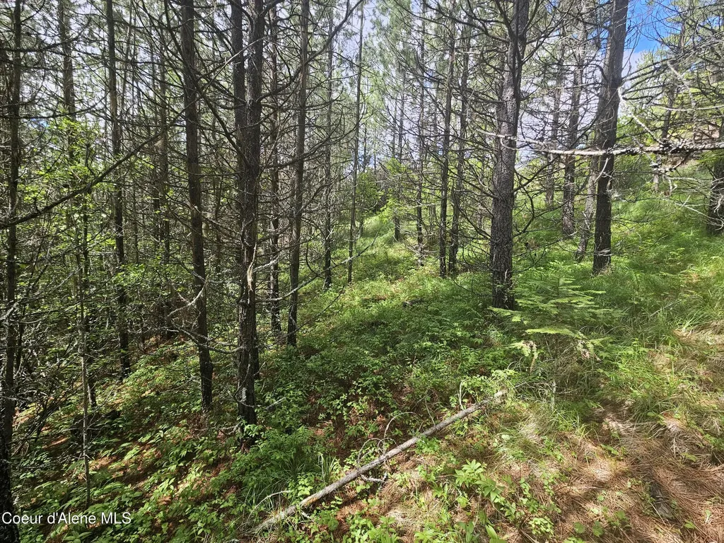Nka Crystal Peak Road Fernwood ID 83830