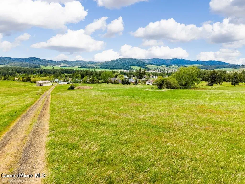 Nna Thimbleberry Lane Plummer ID 83851