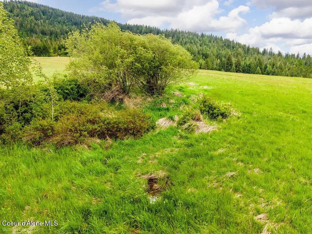 Nna Thimbleberry Lane Plummer ID 83851