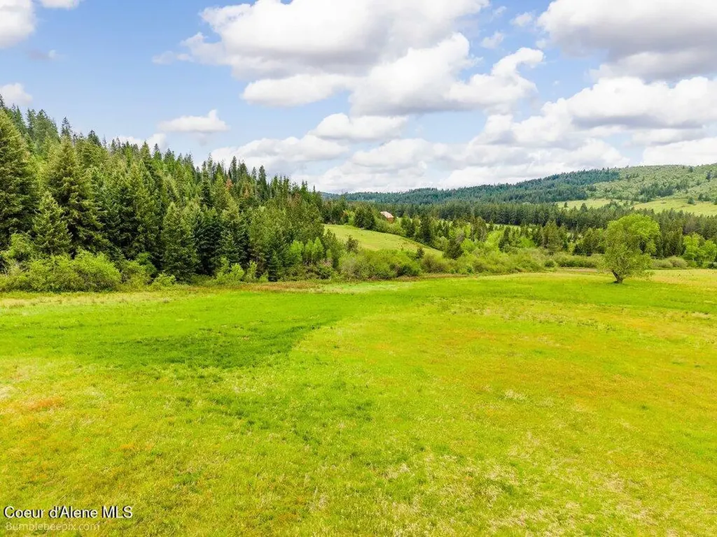 Nna Thimbleberry Lane Plummer ID 83851