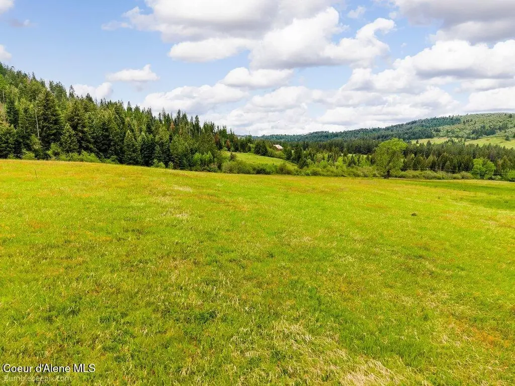 Nna Thimbleberry Lane Plummer ID 83851
