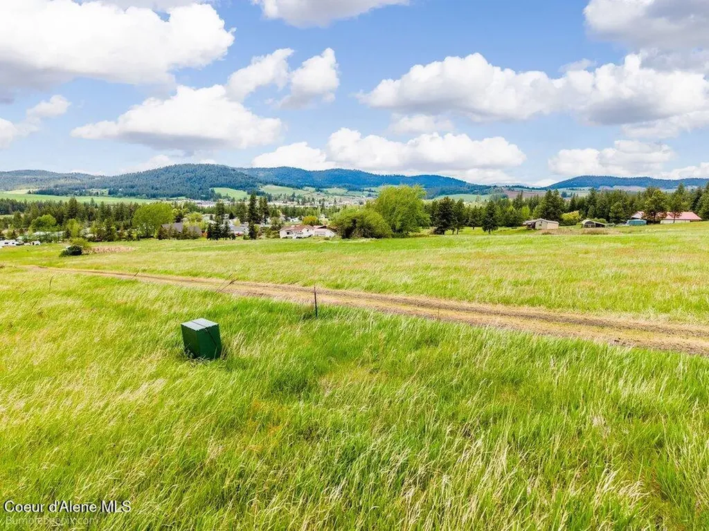 Nna Thimbleberry Lane Plummer ID 83851