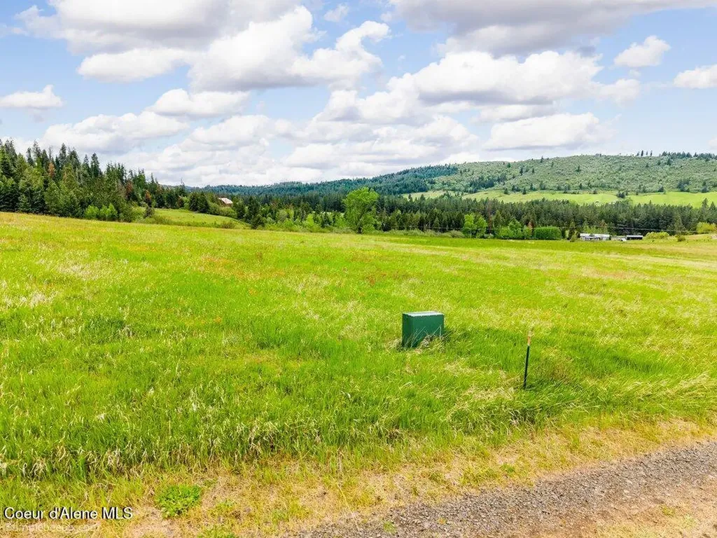 Nna Thimbleberry Lane Plummer ID 83851