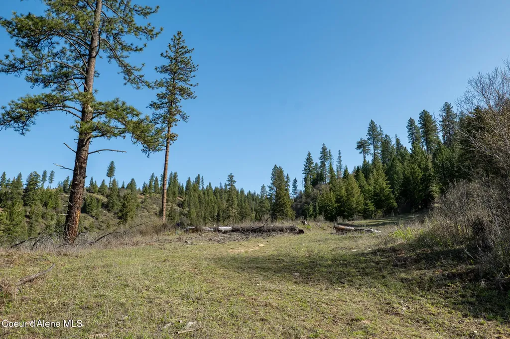 Nka 262 Ac North Side Road Calder ID 83808