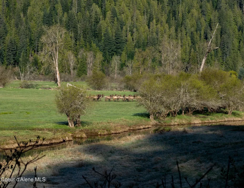 Nka 262 Ac North Side Road Calder ID 83808