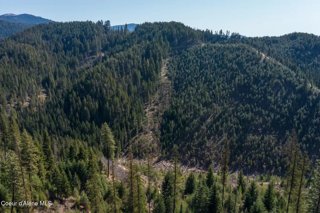 Nka 262 Ac North Side Road Calder ID 83808