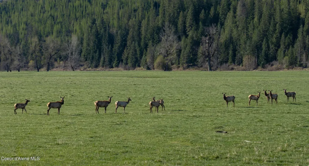 Nka 262 Ac North Side Road Calder ID 83808