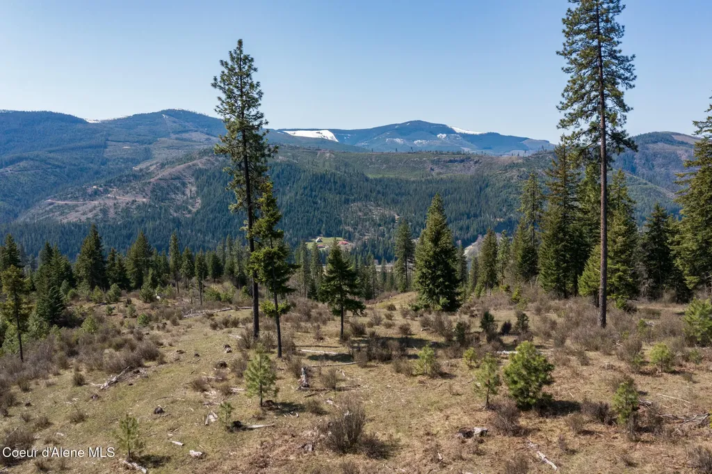 Nka 262 Ac North Side Road Calder ID 83808