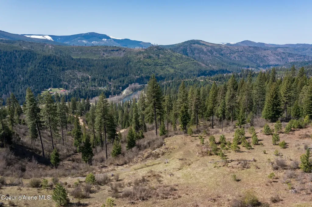 Nka 262 Ac North Side Road Calder ID 83808