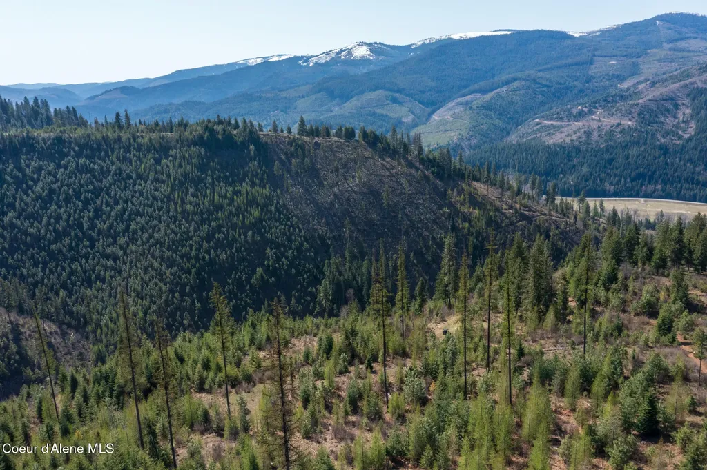 Nka 262 Ac North Side Road Calder ID 83808