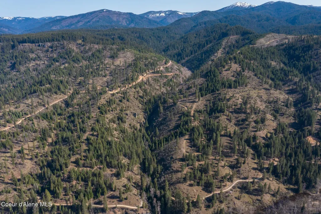 Nka 262 Ac North Side Road Calder ID 83808