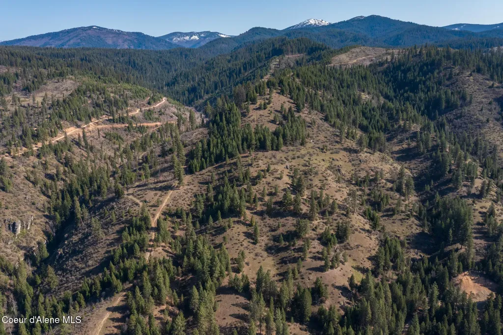 Nka 262 Ac North Side Road Calder ID 83808