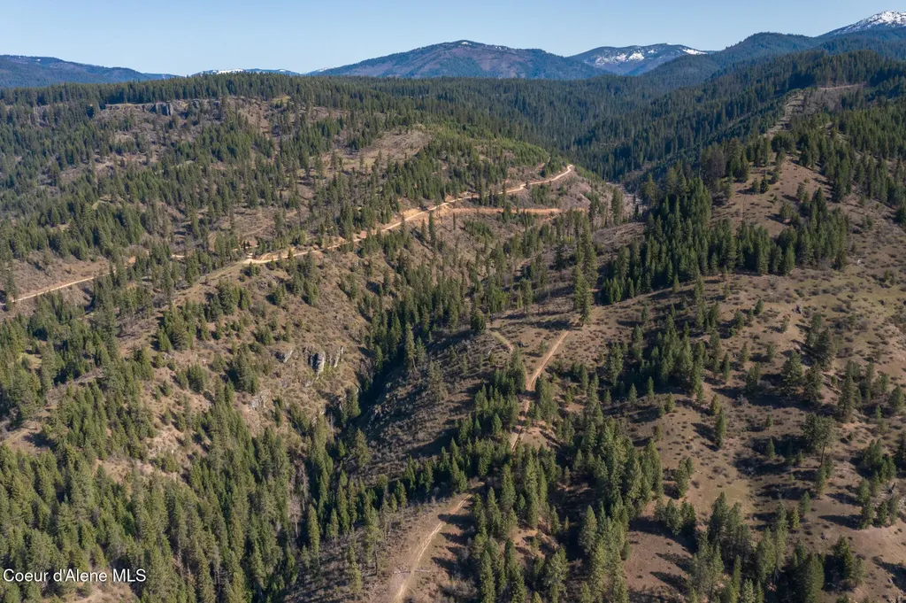 Nka 262 Ac North Side Road Calder ID 83808