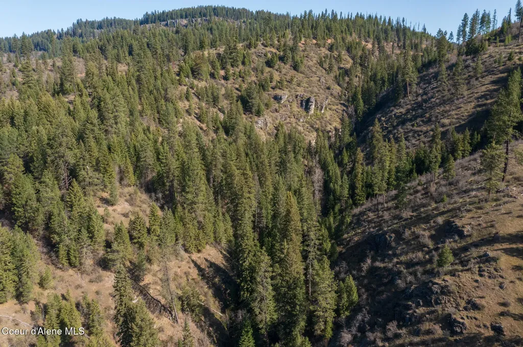 Nka 262 Ac North Side Road Calder ID 83808