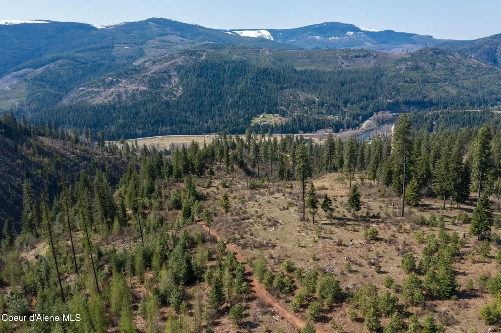 Nka 262 Ac North Side Road Calder ID 83808