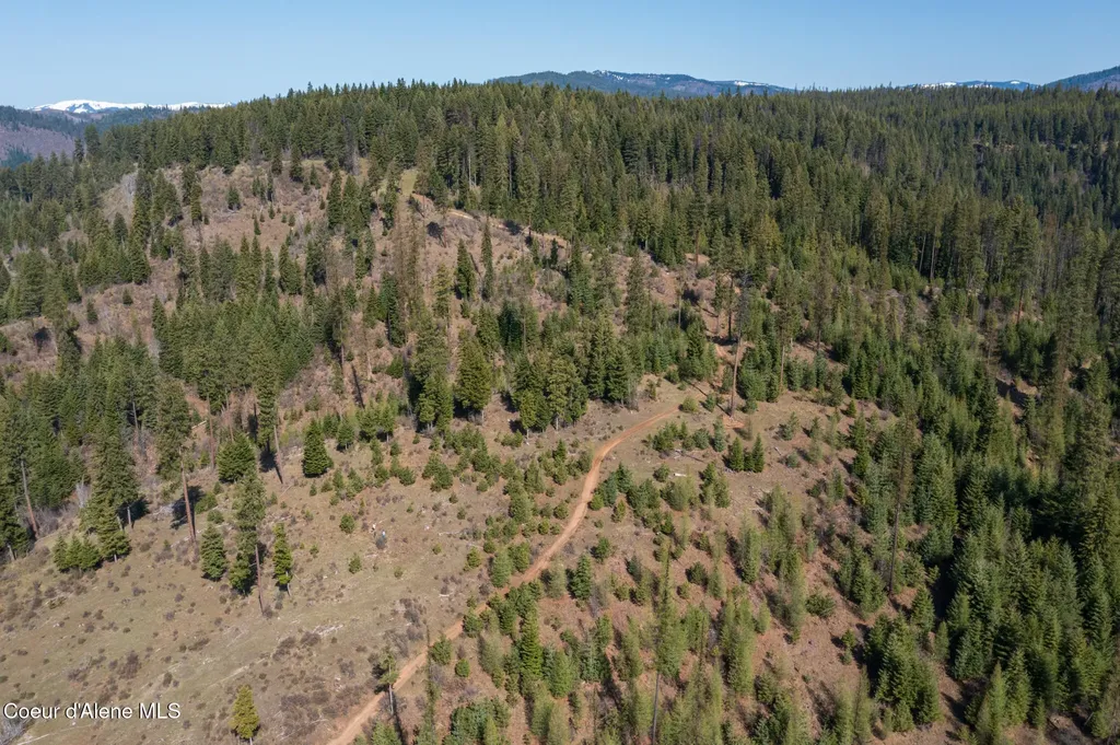 Nka 262 Ac North Side Road Calder ID 83808