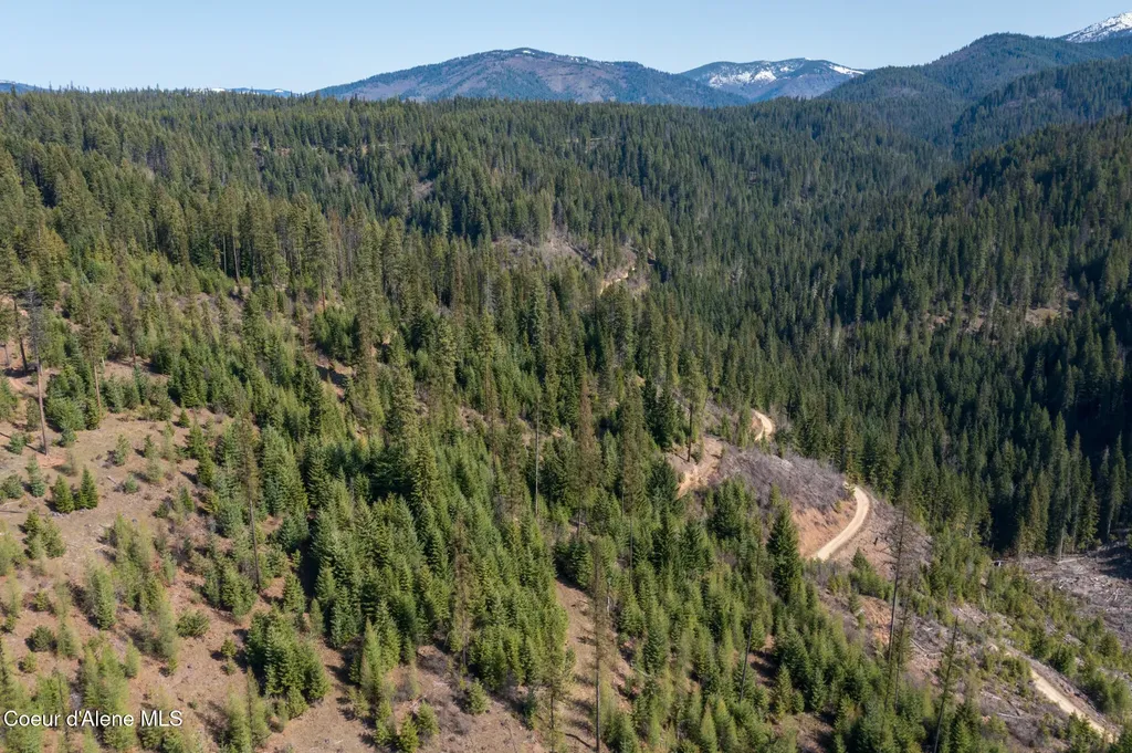Nka 262 Ac North Side Road Calder ID 83808