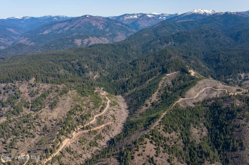 Nka 262 Ac North Side Road Calder ID 83808