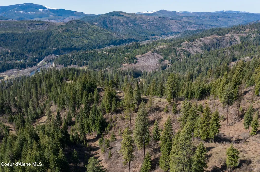 Nka 262 Ac North Side Road Calder ID 83808