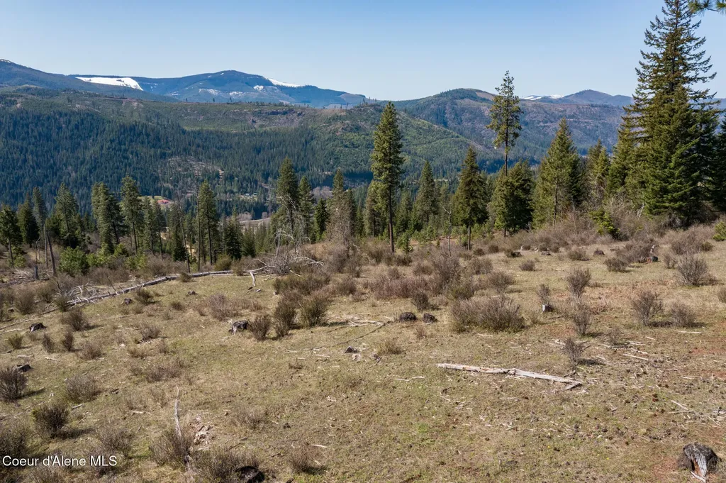 Nka 262 Ac North Side Road Calder ID 83808