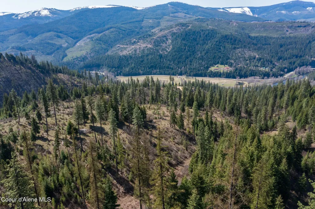 Nka 262 Ac North Side Road Calder ID 83808