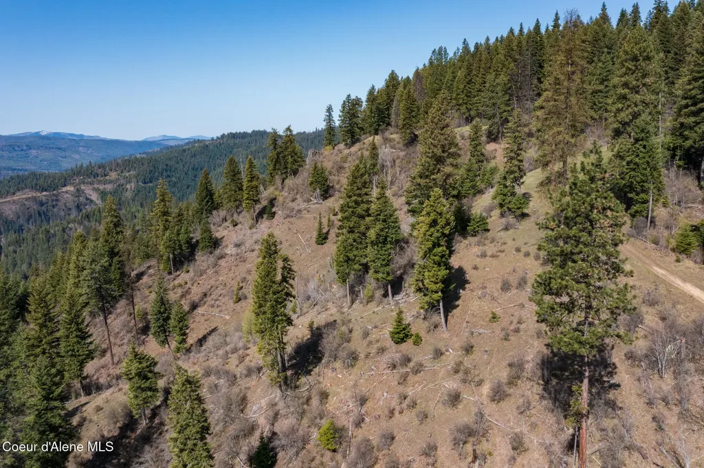 Nka 262 Ac North Side Road Calder ID 83808