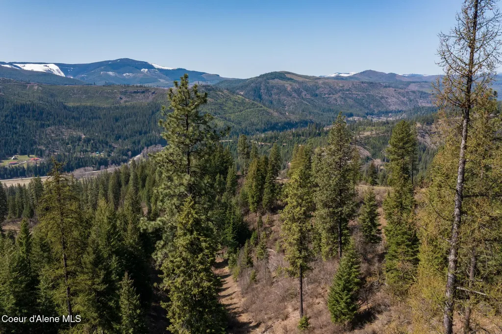 Nka 262 Ac North Side Road Calder ID 83808
