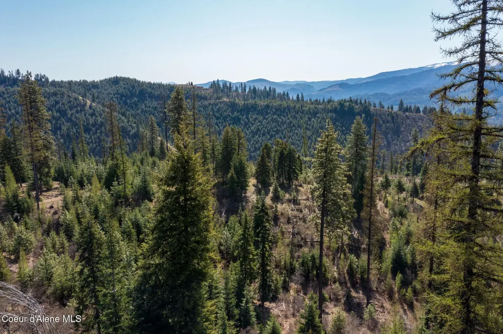 Nka 262 Ac North Side Road Calder ID 83808