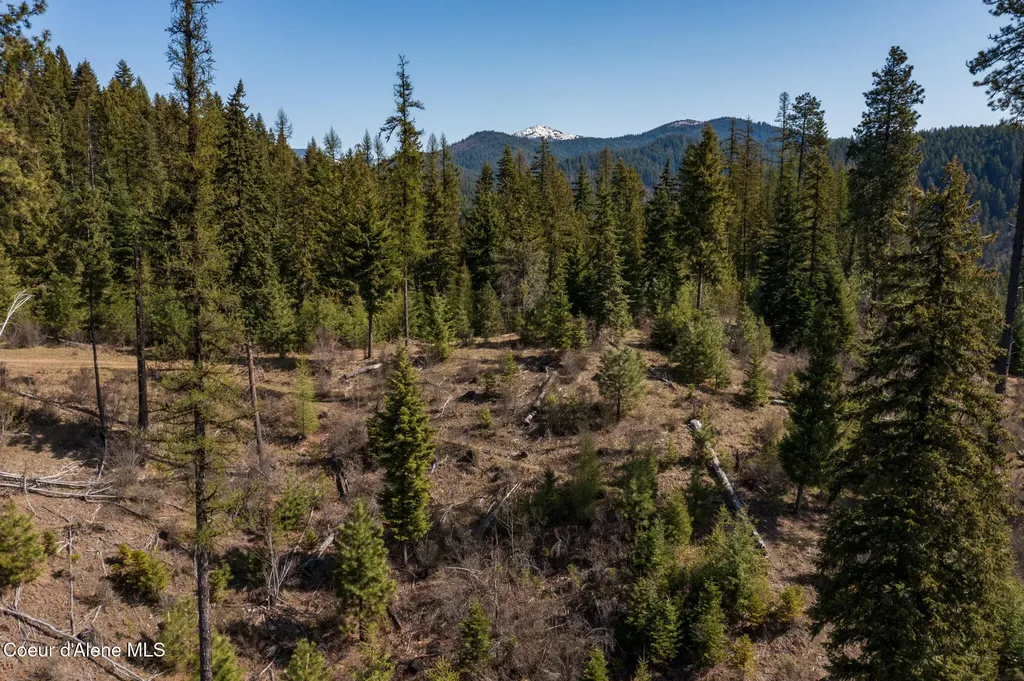 Nka 262 Ac North Side Road Calder ID 83808