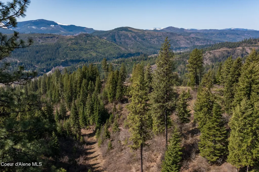 Nka 262 Ac North Side Road Calder ID 83808