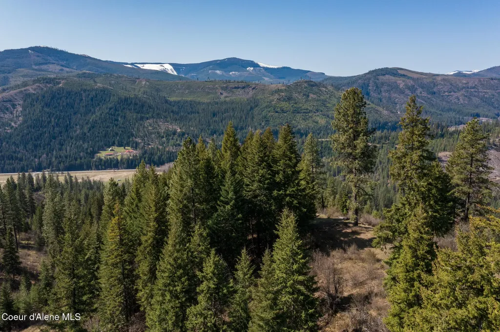 Nka 262 Ac North Side Road Calder ID 83808