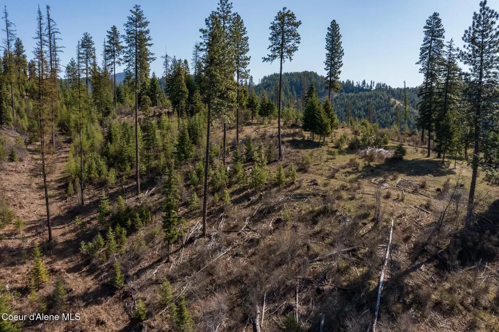 Nka 262 Ac North Side Road Calder ID 83808