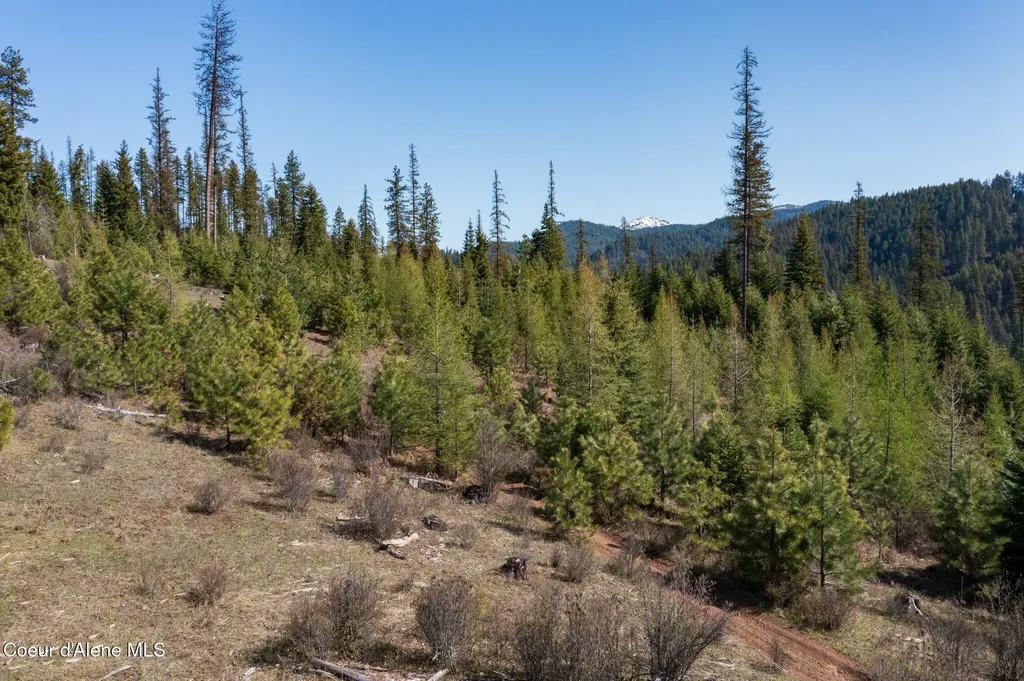 Nka 262 Ac North Side Road Calder ID 83808