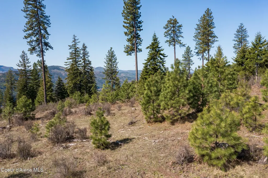 Nka 262 Ac North Side Road Calder ID 83808