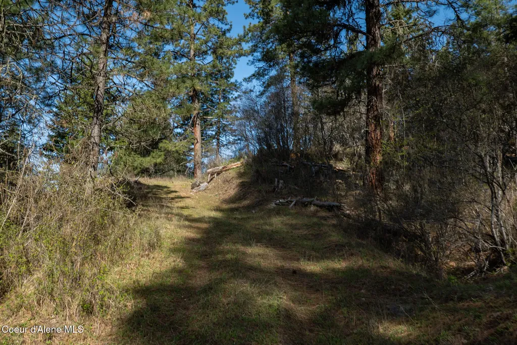 Nka 262 Ac North Side Road Calder ID 83808