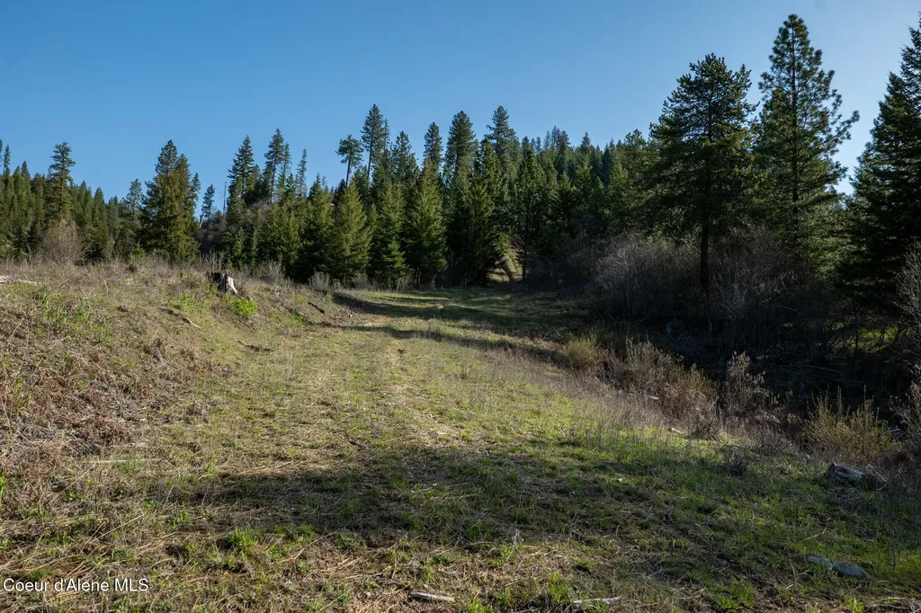 Nka 262 Ac North Side Road Calder ID 83808