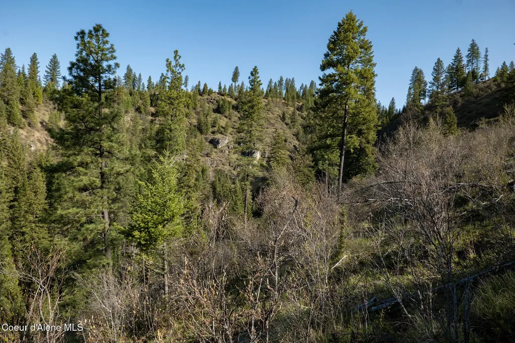 Nka 262 Ac North Side Road Calder ID 83808