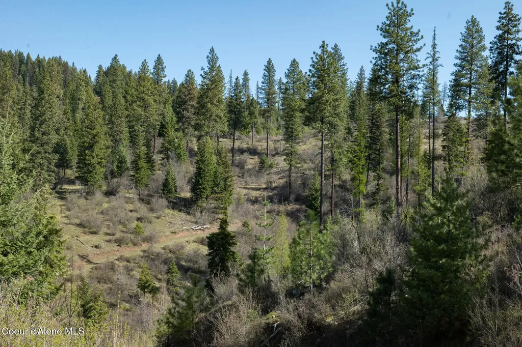 Nka 262 Ac North Side Road Calder ID 83808