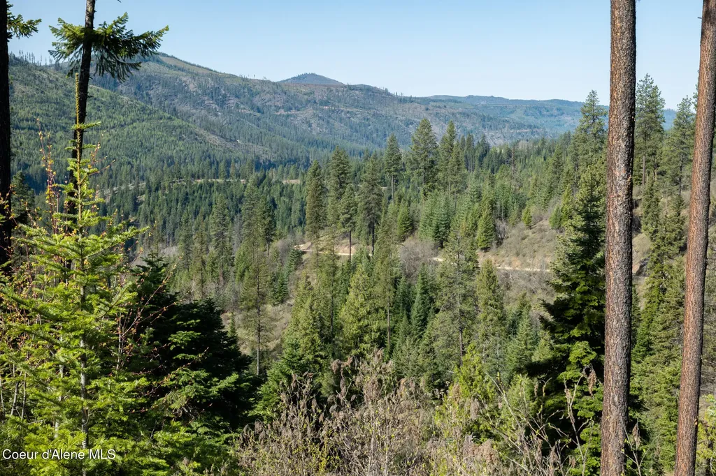 Nka 262 Ac North Side Road Calder ID 83808