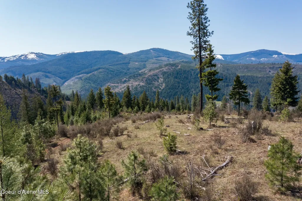 Nka 262 Ac North Side Road Calder ID 83808