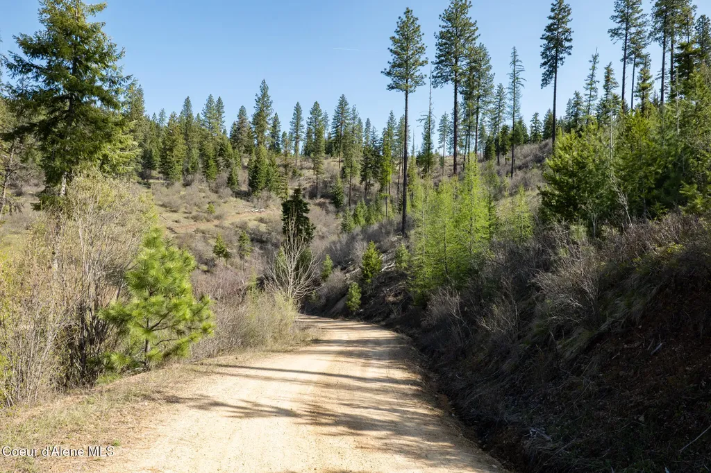 Nka 262 Ac North Side Road Calder ID 83808