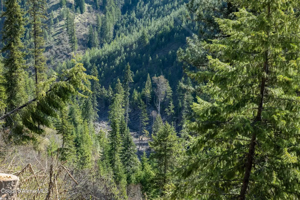 Nka 262 Ac North Side Road Calder ID 83808