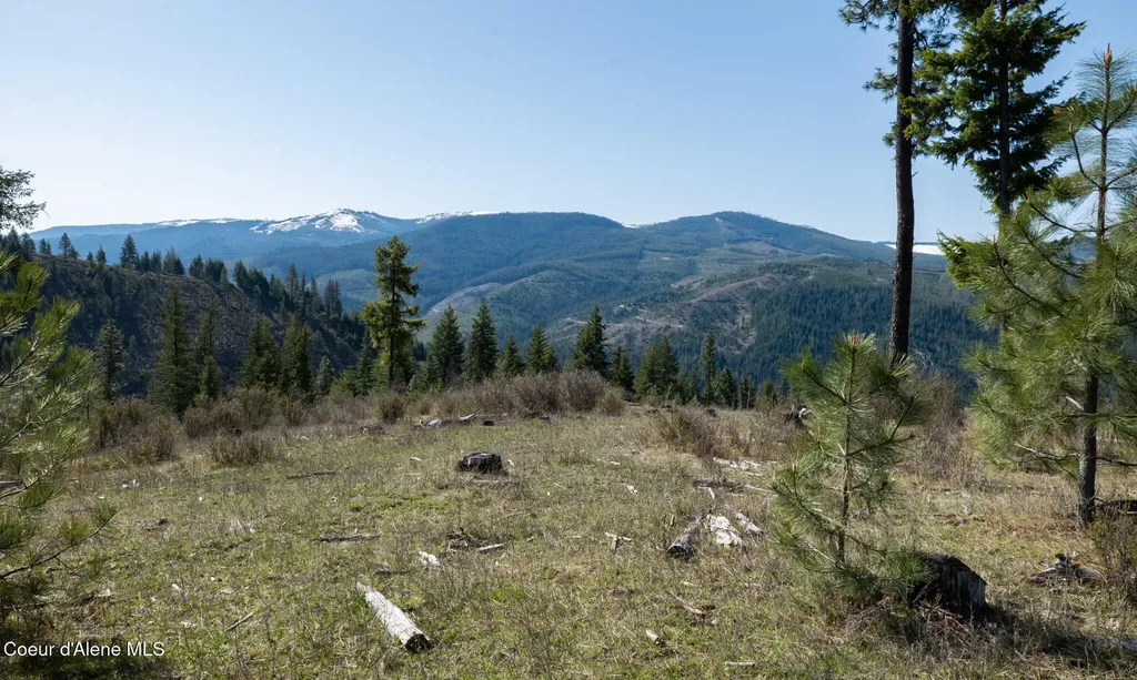Nka 262 Ac North Side Road Calder ID 83808