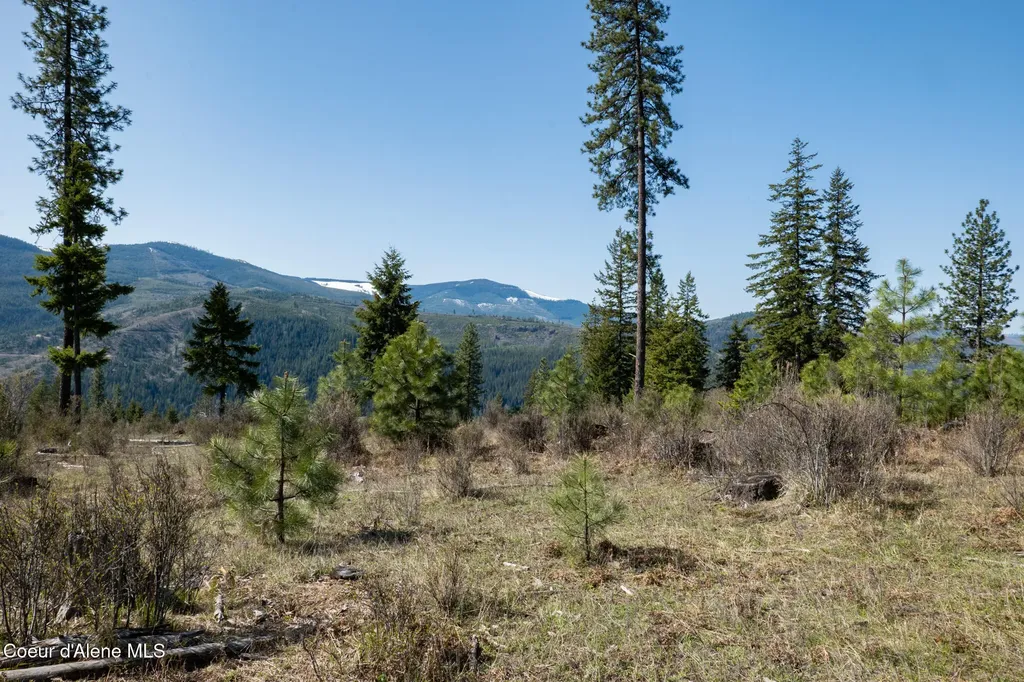 Nka 262 Ac North Side Road Calder ID 83808