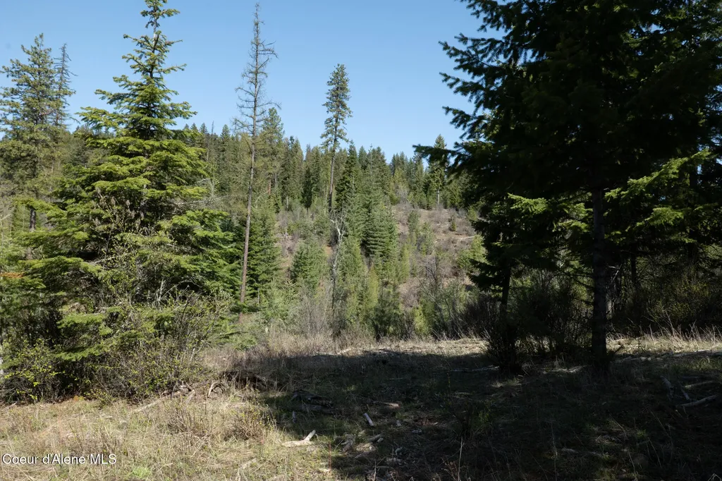 Nka 262 Ac North Side Road Calder ID 83808