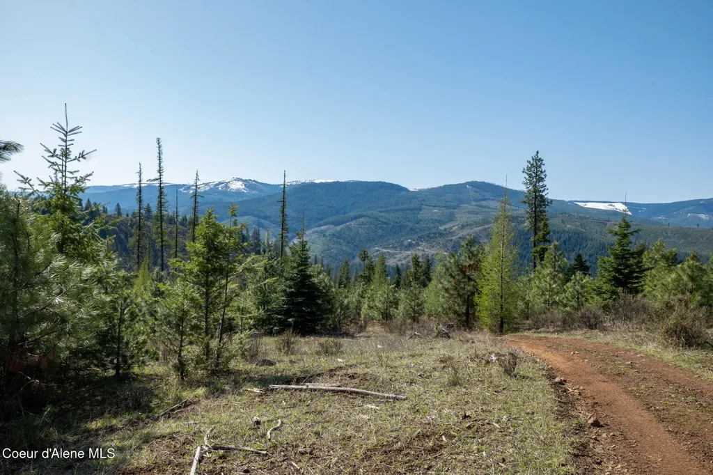 Nka 262 Ac North Side Road Calder ID 83808