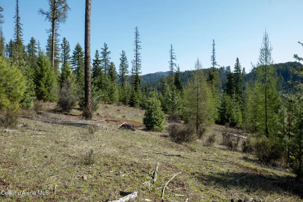 Nka 262 Ac North Side Road Calder ID 83808