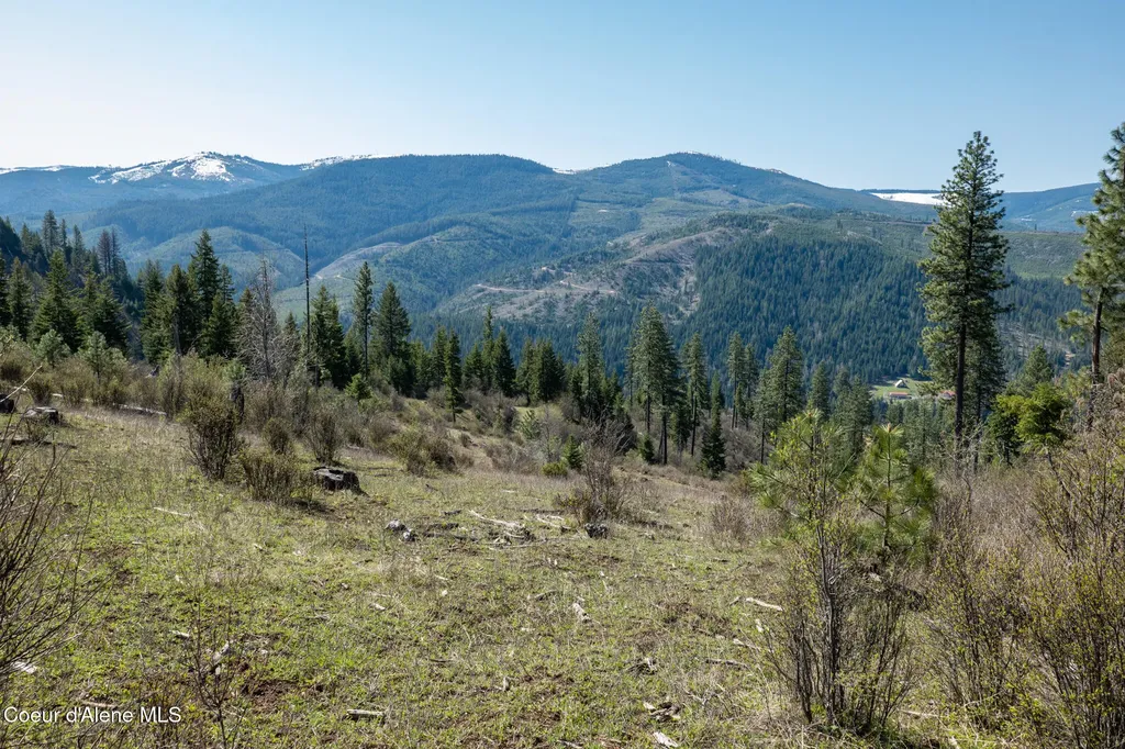 Nka 262 Ac North Side Road Calder ID 83808